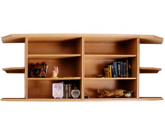Shelf Shelving